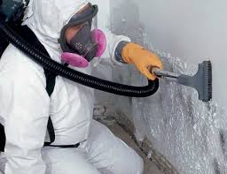 Biohazard Mold Removal in Marlow Heights, MD